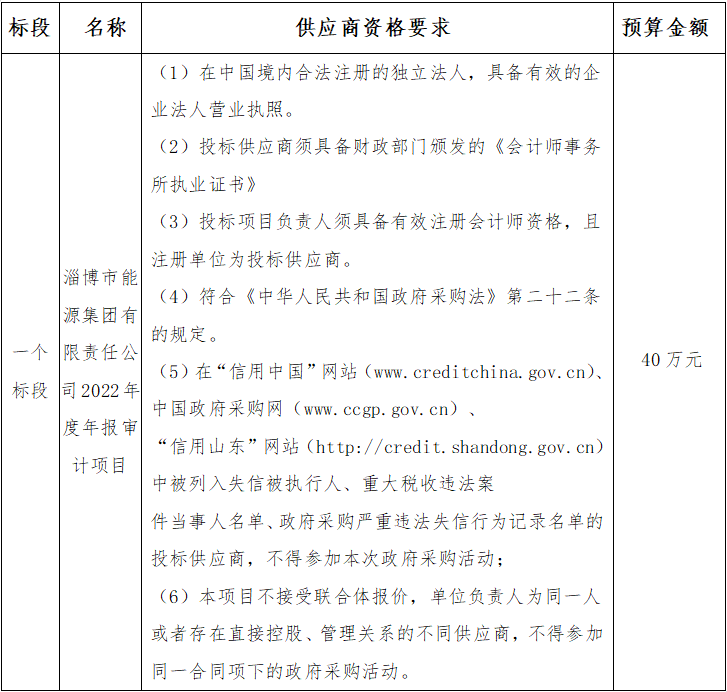 淄博市能源集团有限责任公司2022年度年报审计项目竞争性磋商公告(图1)